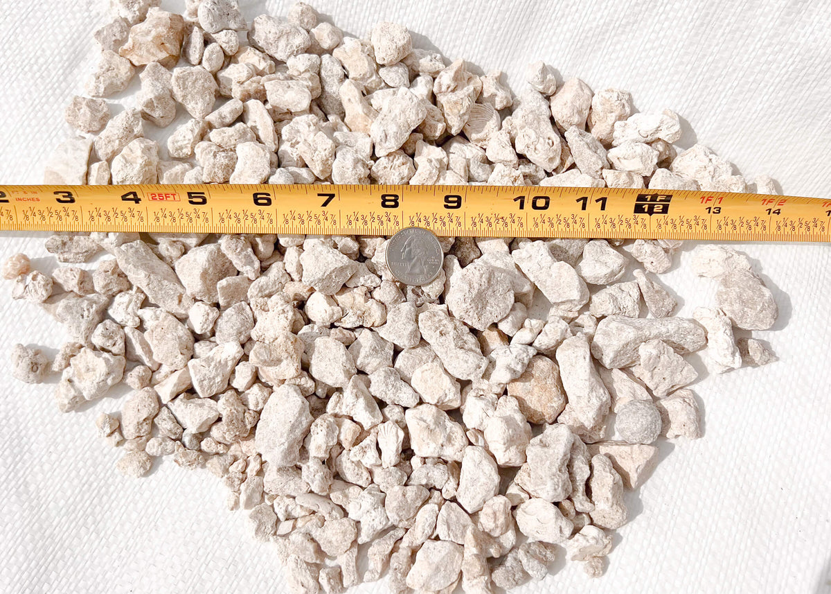 Limestone 3/4 Succulent, Bonsai, Terrarium Fillers for Indoor/Outdoor