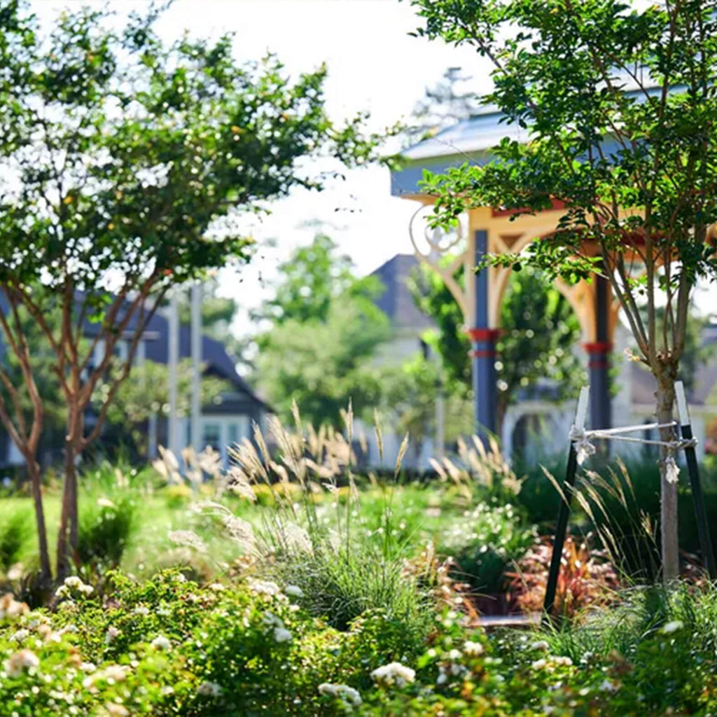 Garden Trends for 2025: What’s Hot in Landscaping This Year