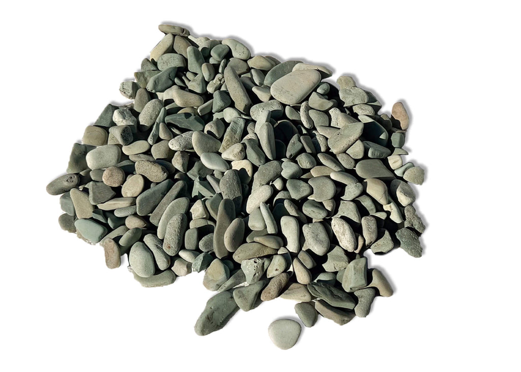 succulent that looks like pebbles Jade Green Pebbles – 3/8”–3/4”