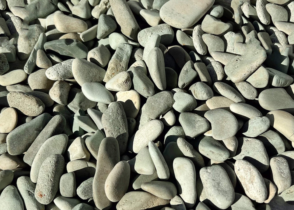 succulent that looks like pebbles Jade Green Pebbles Succulent Plant Terrarium Vase Fillers In-Outdoor Decor Size: 2 LBS